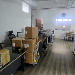 Ubiplex 1 (D14), Factory #614600261